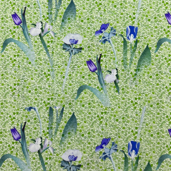 Flower scape