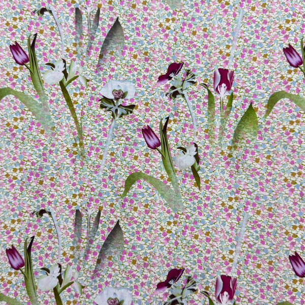 Flower scape
