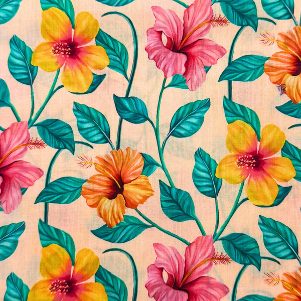 Tropical Hibiscus