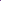 Electric Peony – Cobalt
