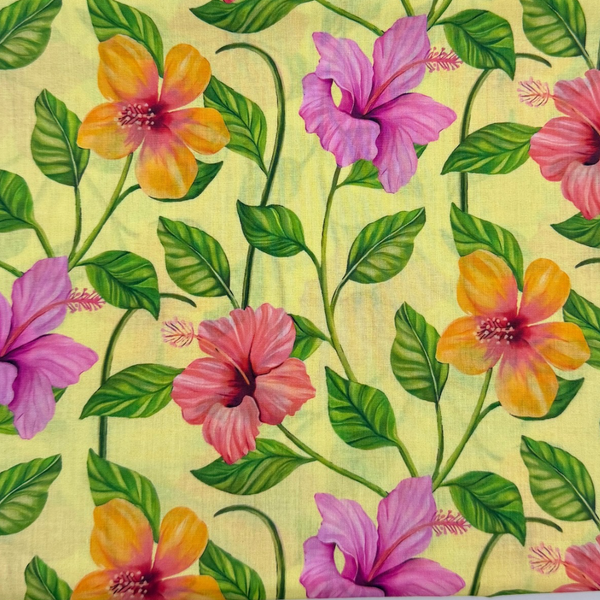 Tropical Hibiscus